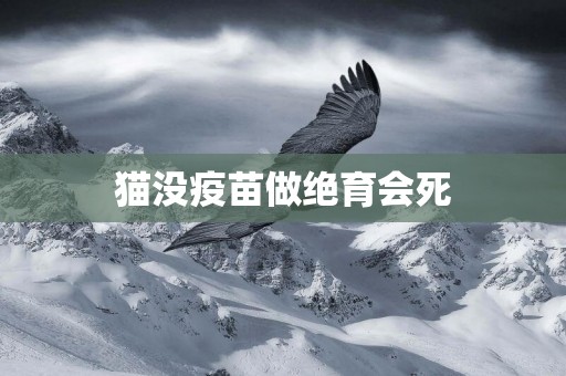 貓沒疫苗做絕育會死