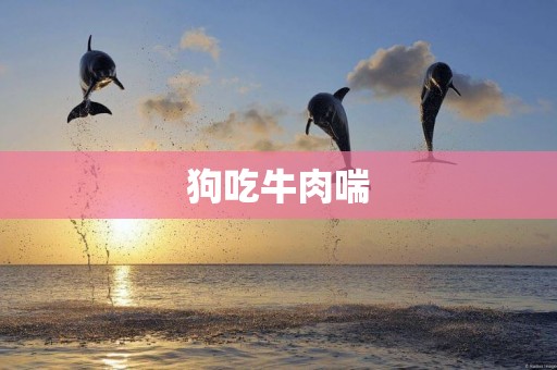 狗吃牛肉喘