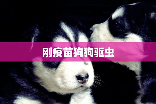 剛疫苗狗狗驅蟲