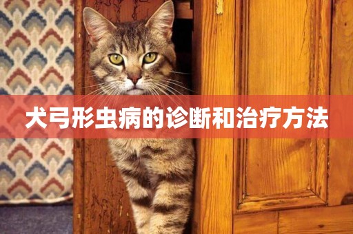 犬弓形蟲病的診斷和治療方法