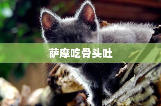 薩摩吃骨頭吐