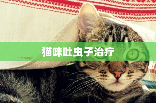 貓咪吐蟲子治療