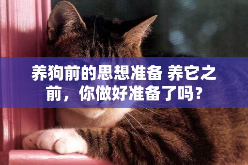 養狗前的思想準備 養它之前，你做好準備了嗎？