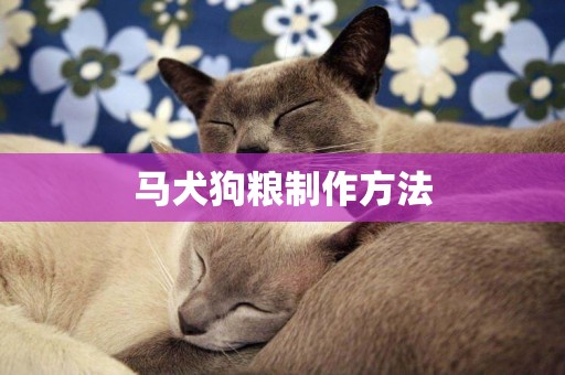 馬犬狗糧制作方法