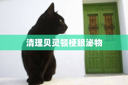 清理貝靈頓梗眼泌物