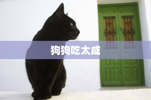 狗狗吃太咸