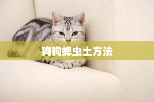 狗狗蜱蟲土方法