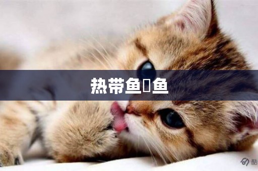 熱帶魚魟魚