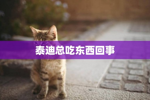 泰迪總吃東西回事