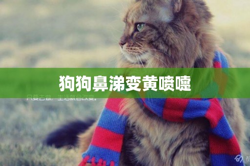 狗狗鼻涕變黃噴嚏
