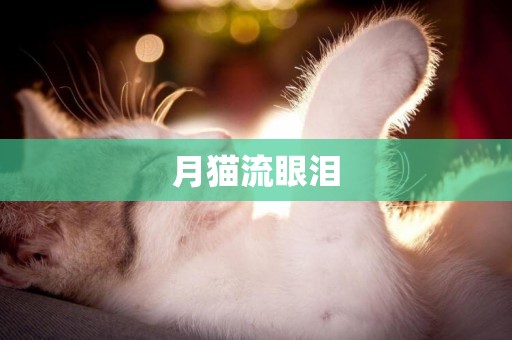 月貓流眼淚