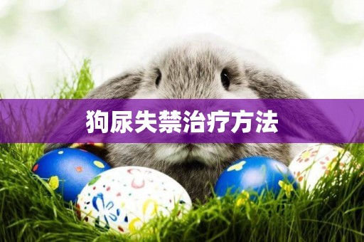 狗尿失禁治療方法