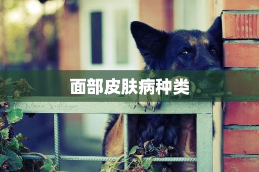 面部皮膚病種類