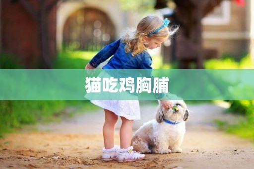 貓吃雞胸脯