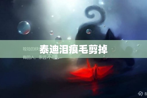 泰迪淚痕毛剪掉