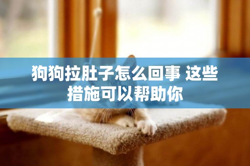 狗狗拉肚子怎么回事 這些措施可以幫助你