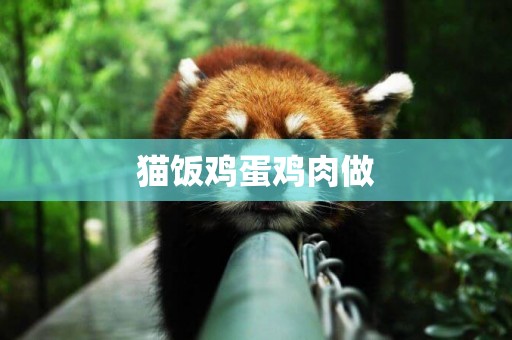 貓飯雞蛋雞肉做