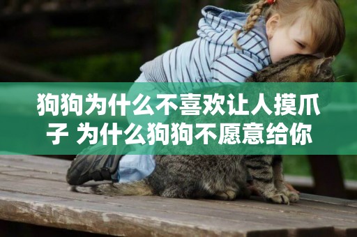 狗狗為什么不喜歡讓人摸爪子 為什么狗狗不愿意給你摸爪子