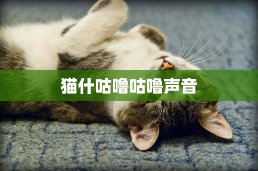 貓什咕嚕咕嚕聲音