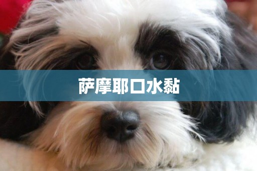 薩摩耶口水黏