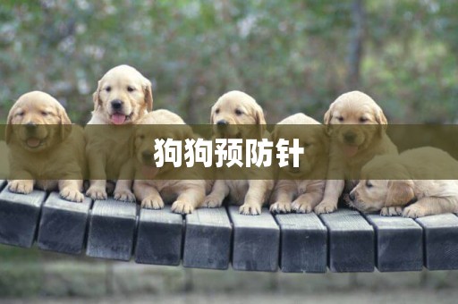 狗狗預防針