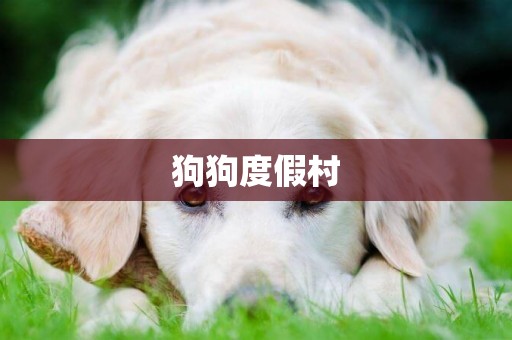 狗狗度假村