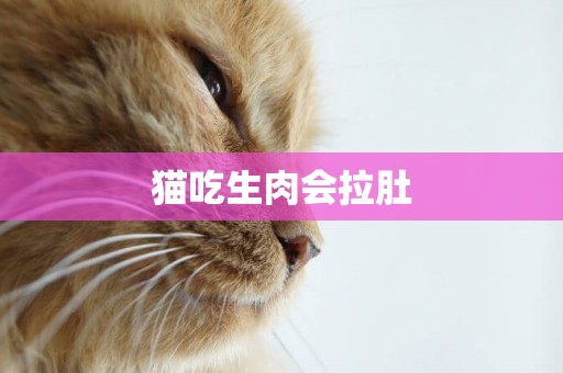 貓吃生肉會拉肚