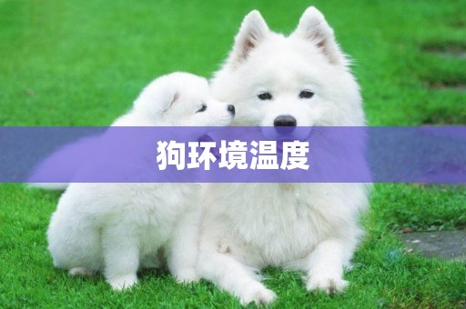 狗環境溫度