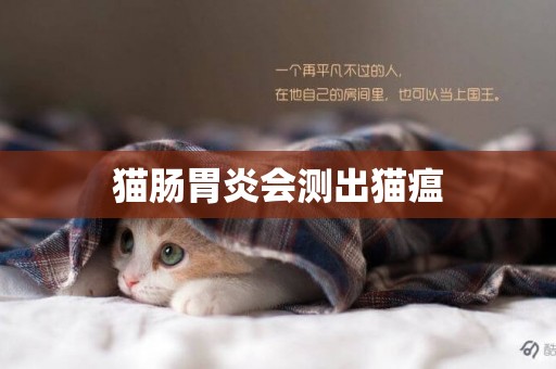 貓腸胃炎會測出貓瘟