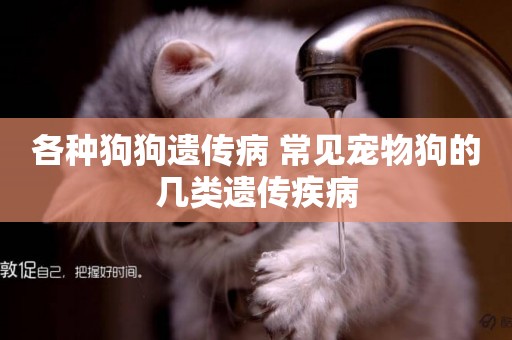 各種狗狗遺傳病 常見寵物狗的幾類遺傳疾病