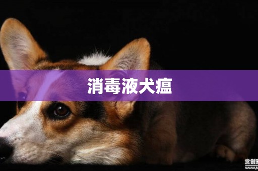 消毒液犬瘟