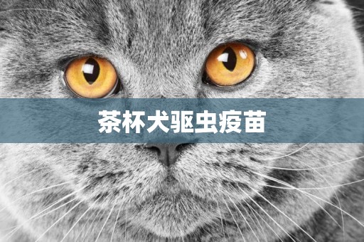 茶杯犬驅蟲疫苗
