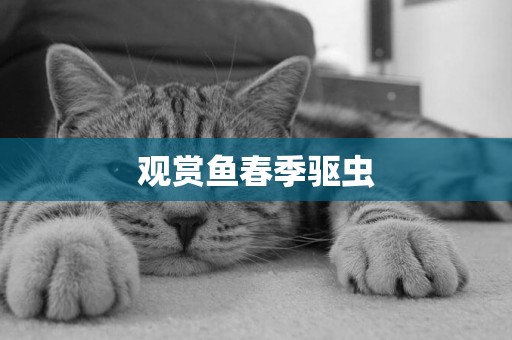觀賞魚春季驅蟲