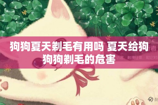 狗狗夏天剃毛有用嗎 夏天給狗狗狗剃毛的危害