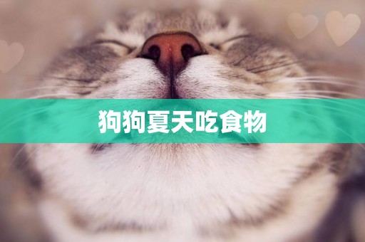 狗狗夏天吃食物