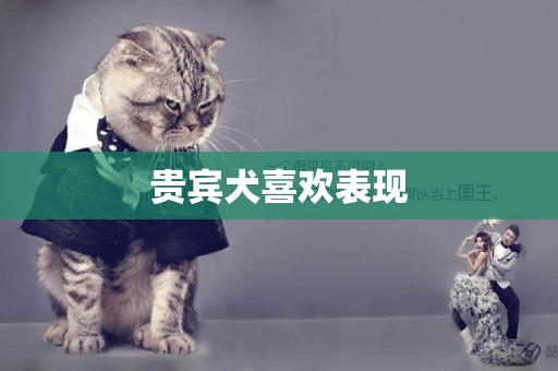 貴賓犬喜歡表現