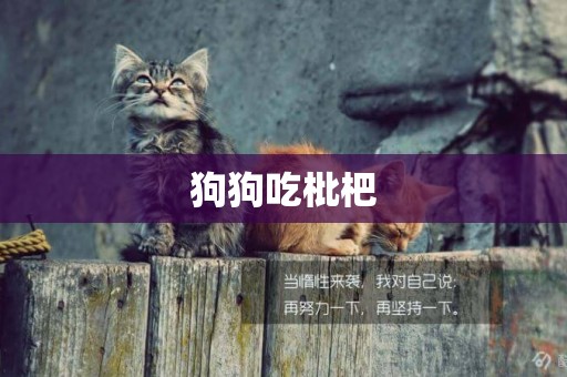 狗狗吃枇杷