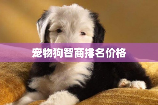 寵物狗智商排名價格