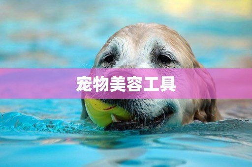 寵物美容工具