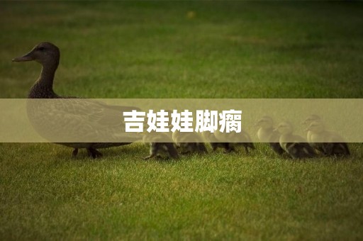 吉娃娃腳瘸