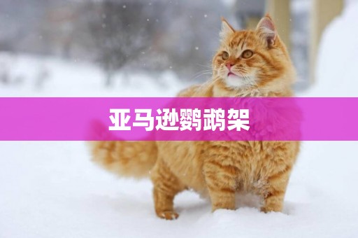 亞馬遜鸚鵡架