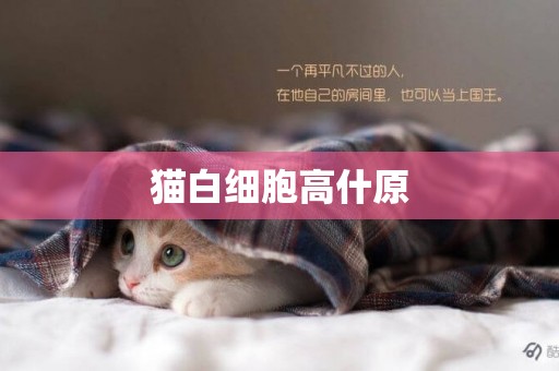 貓白細胞高什原