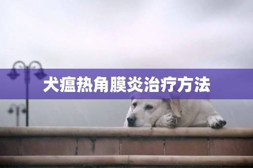 犬瘟熱角膜炎治療方法