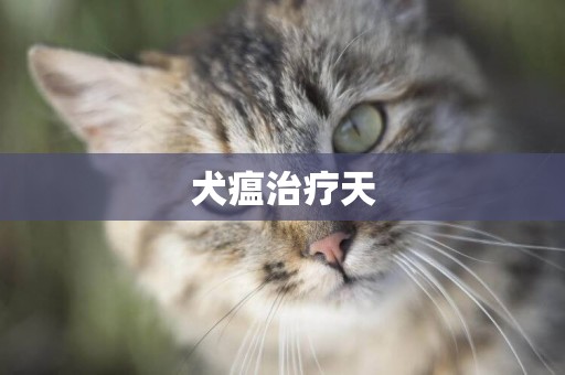 犬瘟治療天