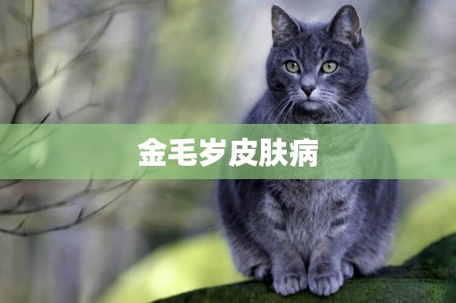 金毛歲皮膚病