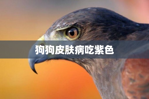 狗狗皮膚病吃紫色