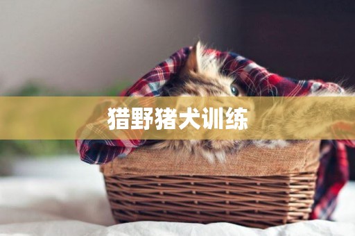 獵野豬犬訓練