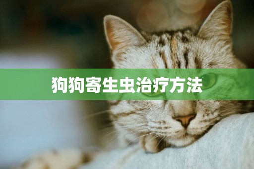 狗狗寄生蟲治療方法