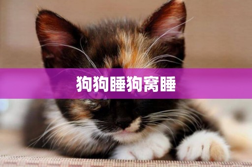狗狗睡狗窩睡