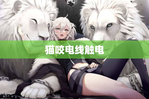 貓咬電線觸電